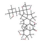 RHAWN Dew grass extract