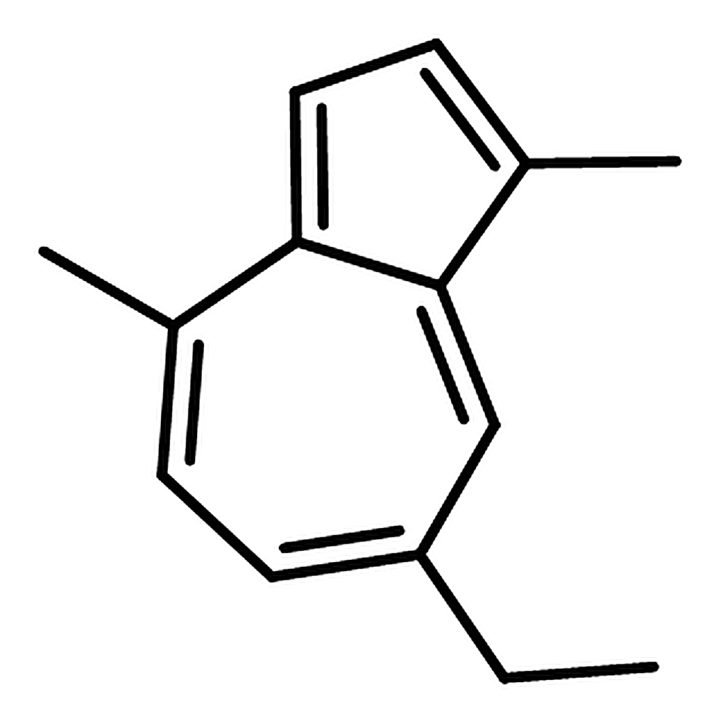 RHAWN CHAMAZULEN