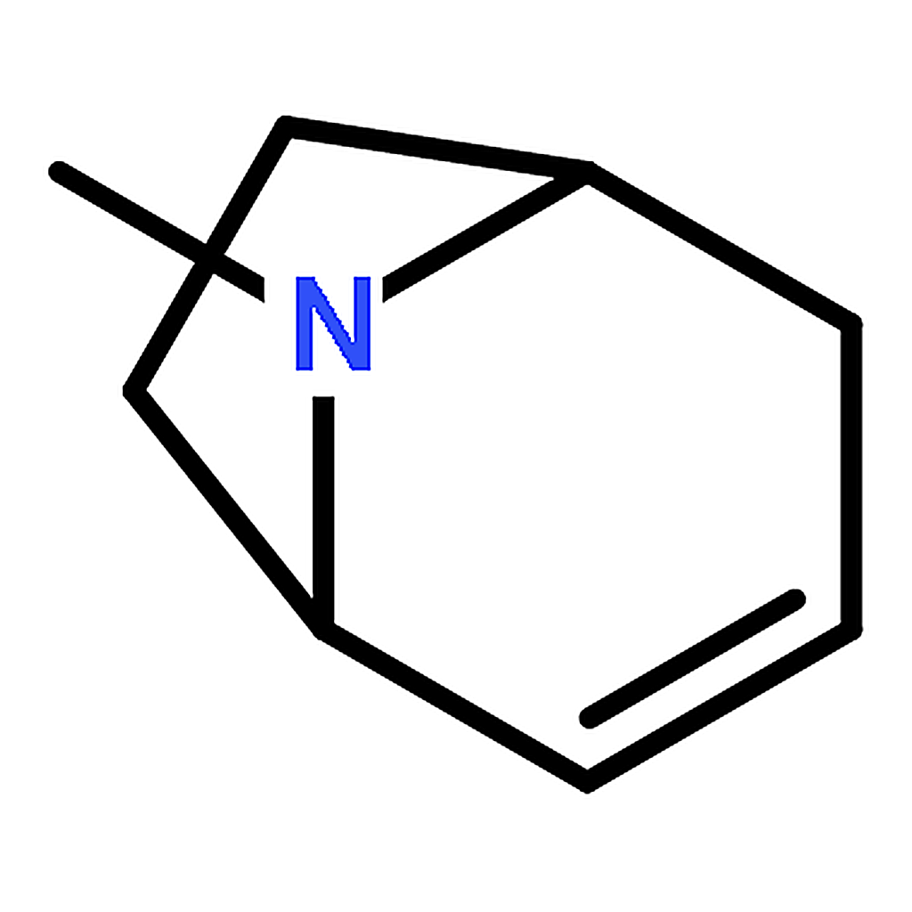 RHAWN 8-Methyl-8-azabicyclo[3.2.1]oct-3-ene