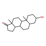 RHAWN 5-Androsterone
