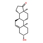 RHAWN trans-Dehydroandrosterone