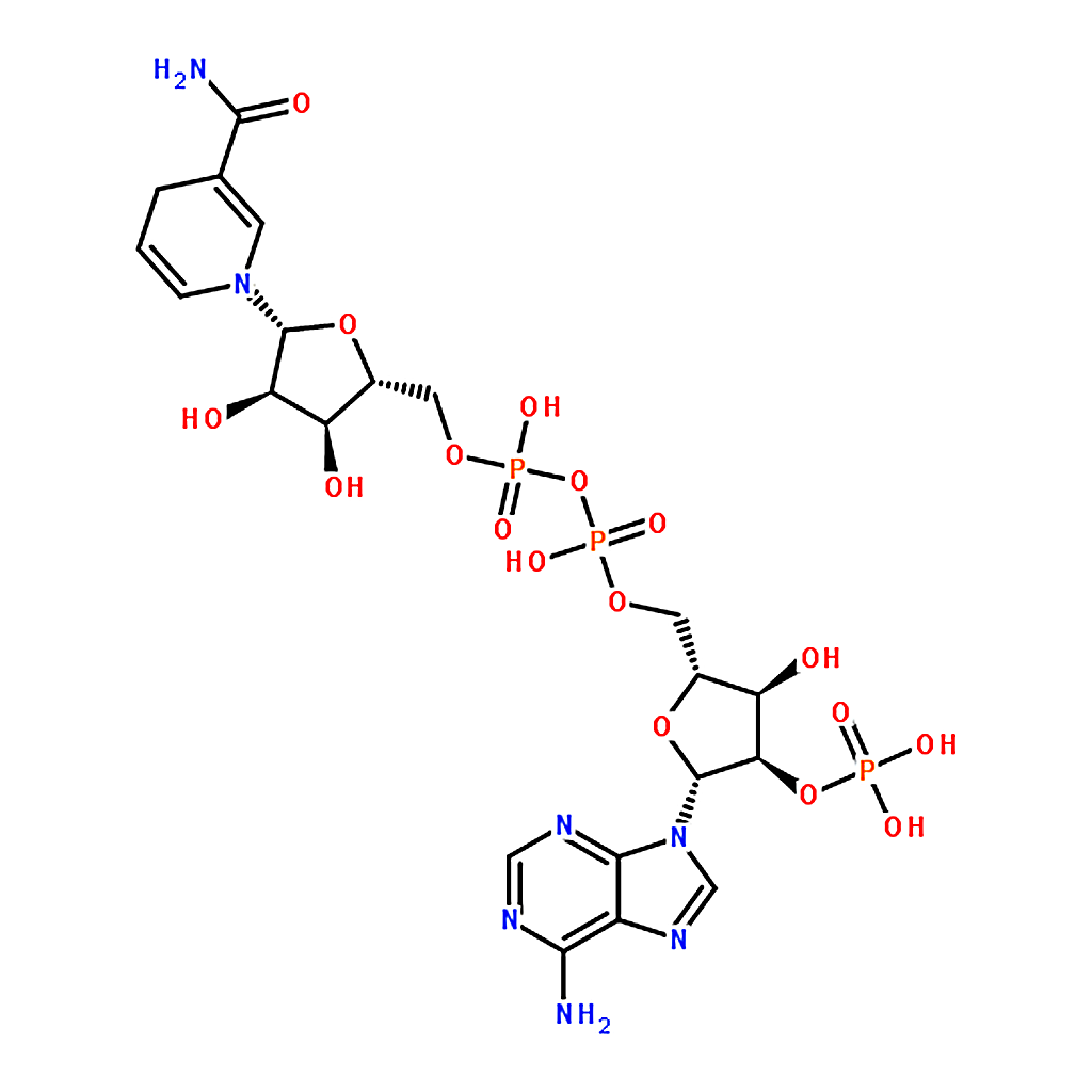 RHAWN Dihydronicotinamide-adenine dinucleotide phosphate