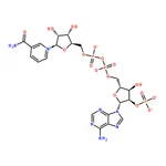 RHAWN -Nicotinamide adenine dinucleotide phosphate