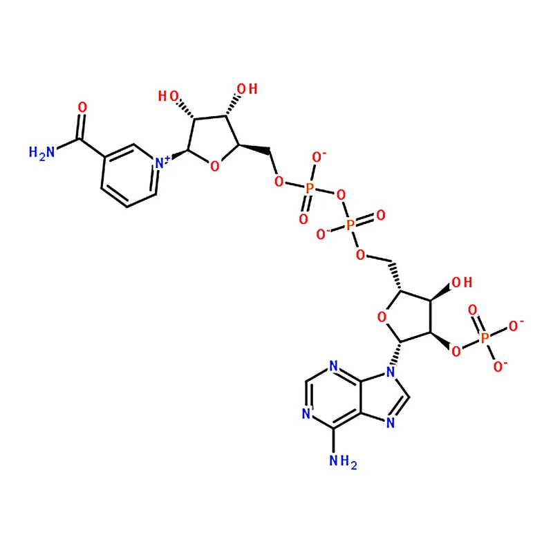 RHAWN -Nicotinamide adenine dinucleotide phosphate