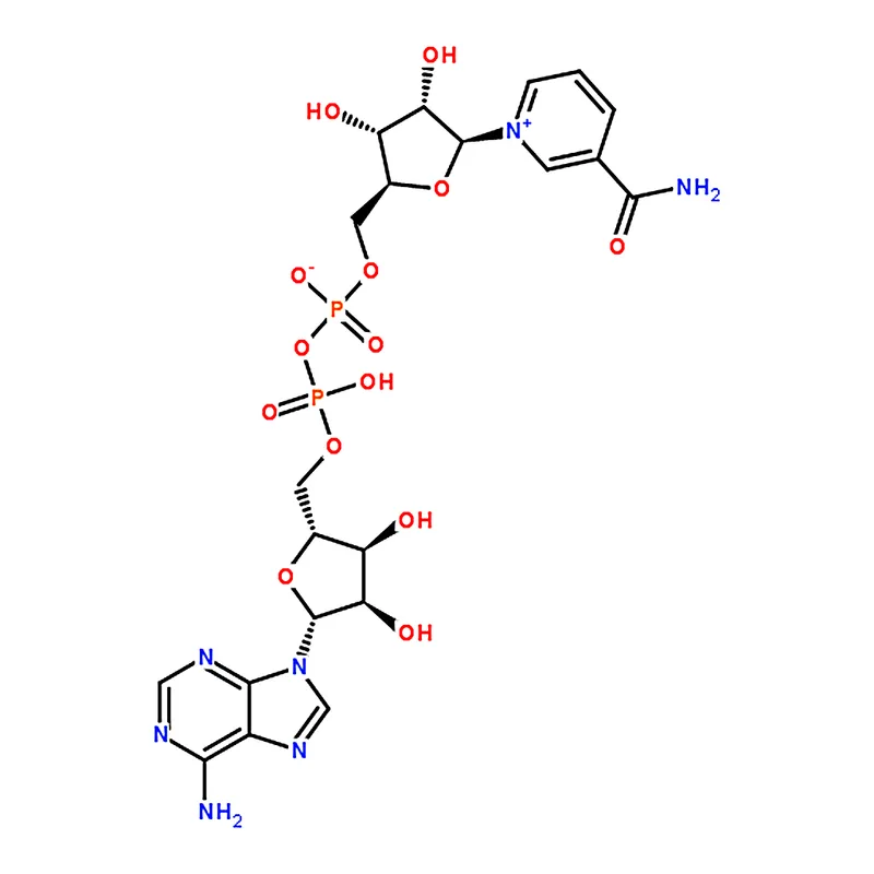 RHAWN -Nicotinamide adenine dinucleotide