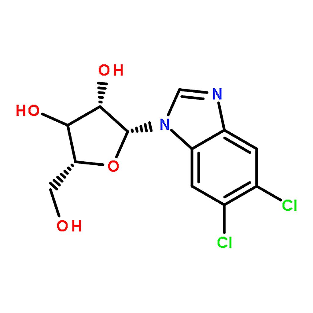 RHAWN 5，6-Dichloropurine-1--D-ribofuanosyl-H-benzimidazole
