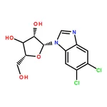 RHAWN 5,6-Dichloropurine-1--D-ribofuanosyl-H-benzimidazole
