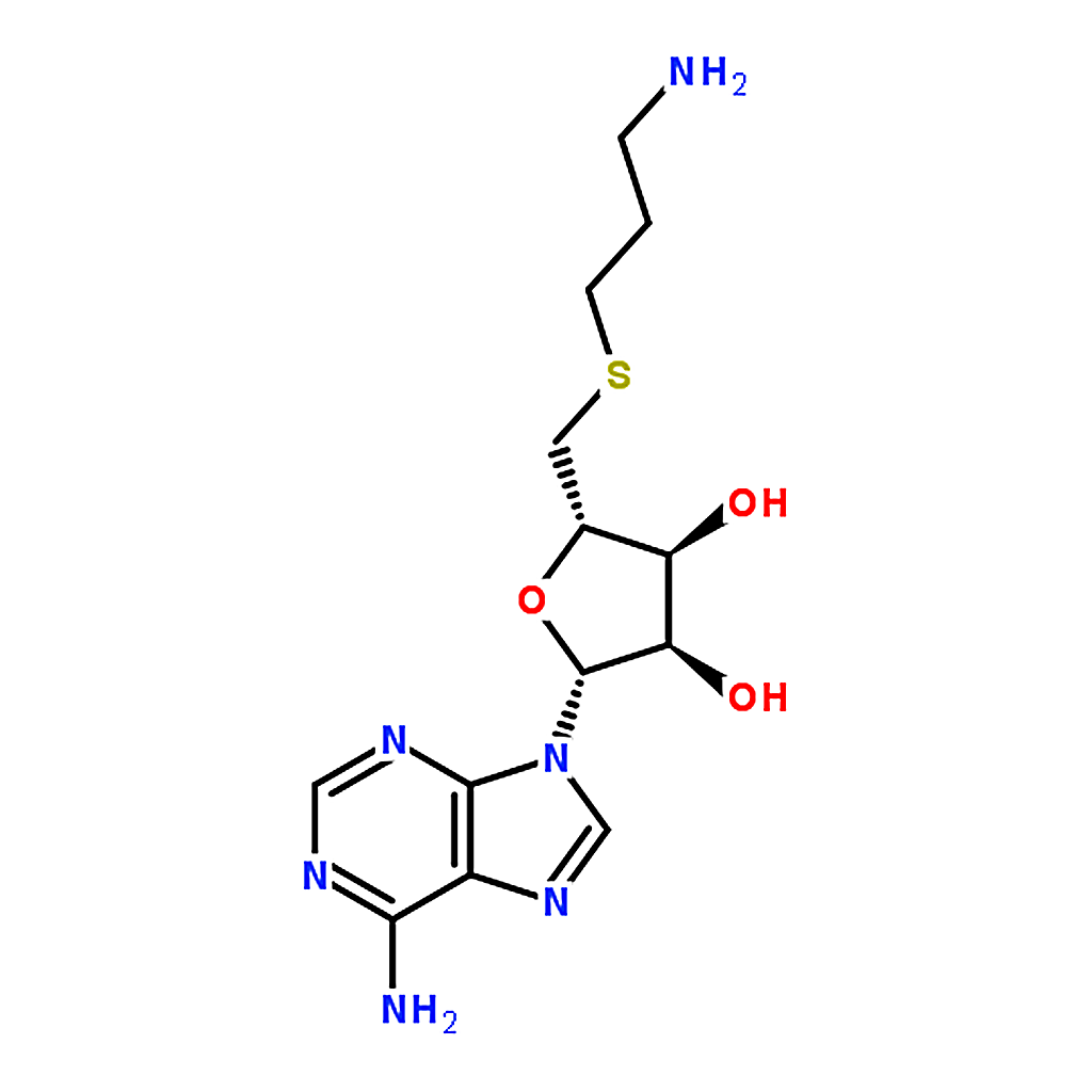 RHAWN S-Adenosyl-3-thiopropylamine