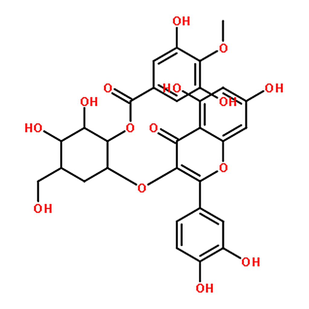 RHAWN 2'-O-Galloylhyperin