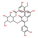 RHAWN 2'-O-Galloylhyperin