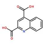 RHAWN Quinoline-2,4-dicarboxylic acid