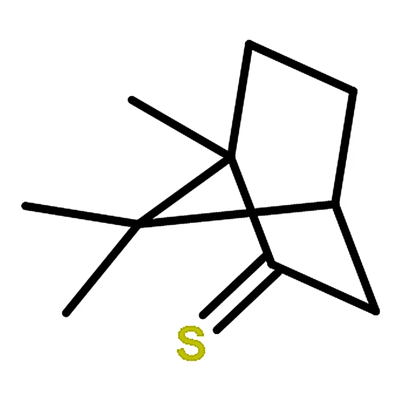 RHAWN (1<i>R</i>)-(-)-Thiocamphor