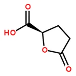 RHAWN (R)-(-)-5-Oxotetrahydrofuran-2-carboxylic Acid
