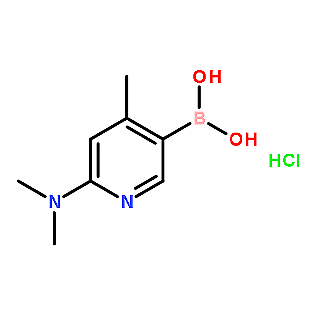 RHAWN (6-(Dimethylamino)-4-methylpyridin-3-yl)boronic acid