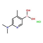 RHAWN (6-(Dimethylamino)-4-methylpyridin-3-yl)boronic acid
