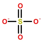 RHAWN Protamine Sulfate from Salmon sperm