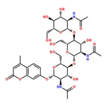 RHAWN 4-Methylumbelliferyl--D-N,N',N''-Triacetylchitotrioside (MUF-triNAG)