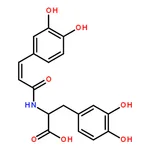 RHAWN trans-Clovamide