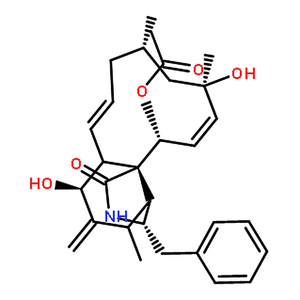 RHAWN Cytochalasin H from Phomopsis sp