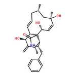 RHAWN Cytochalasin J