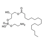 RHAWN 1-palmitoyl-2-hydroxy-sn-glycero-3-phosphoethanolamine