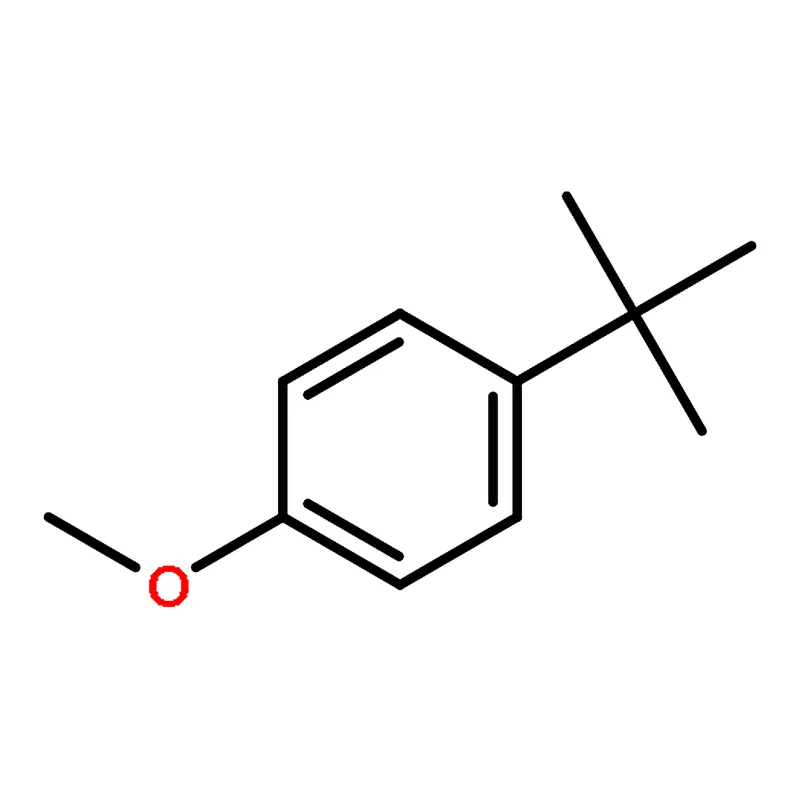 RHAWN 4-TERT-BUTYLANISOLE