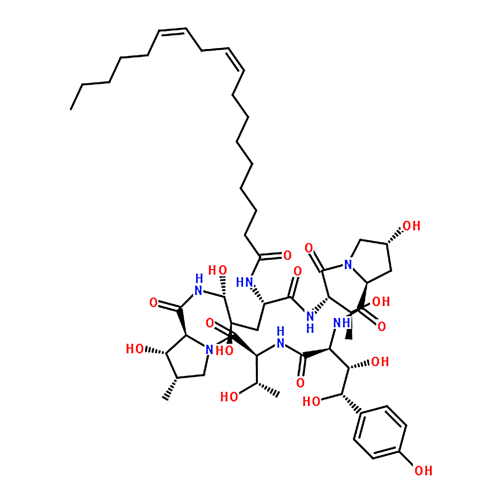 RHAWN Echinocandin B