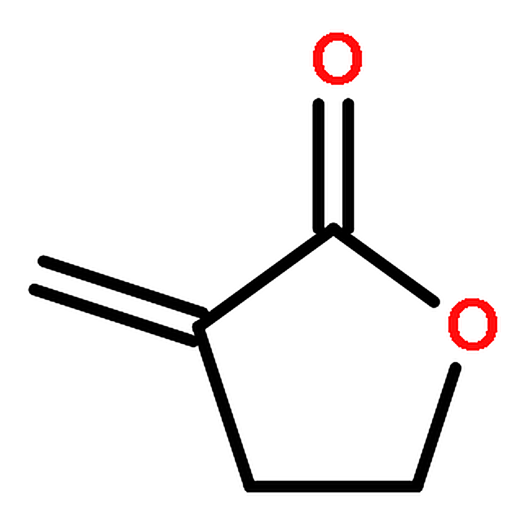 RHAWN -Methylene-┚-butyrolactone