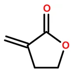 RHAWN -Methylene-┚-butyrolactone