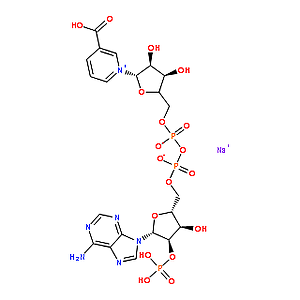 RHAWN Nicotinic acid adenine dinucleotide phosphate sodium salt