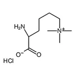 RHAWN N┖,N┖,N┖-Trimethyllysine hydrochloride