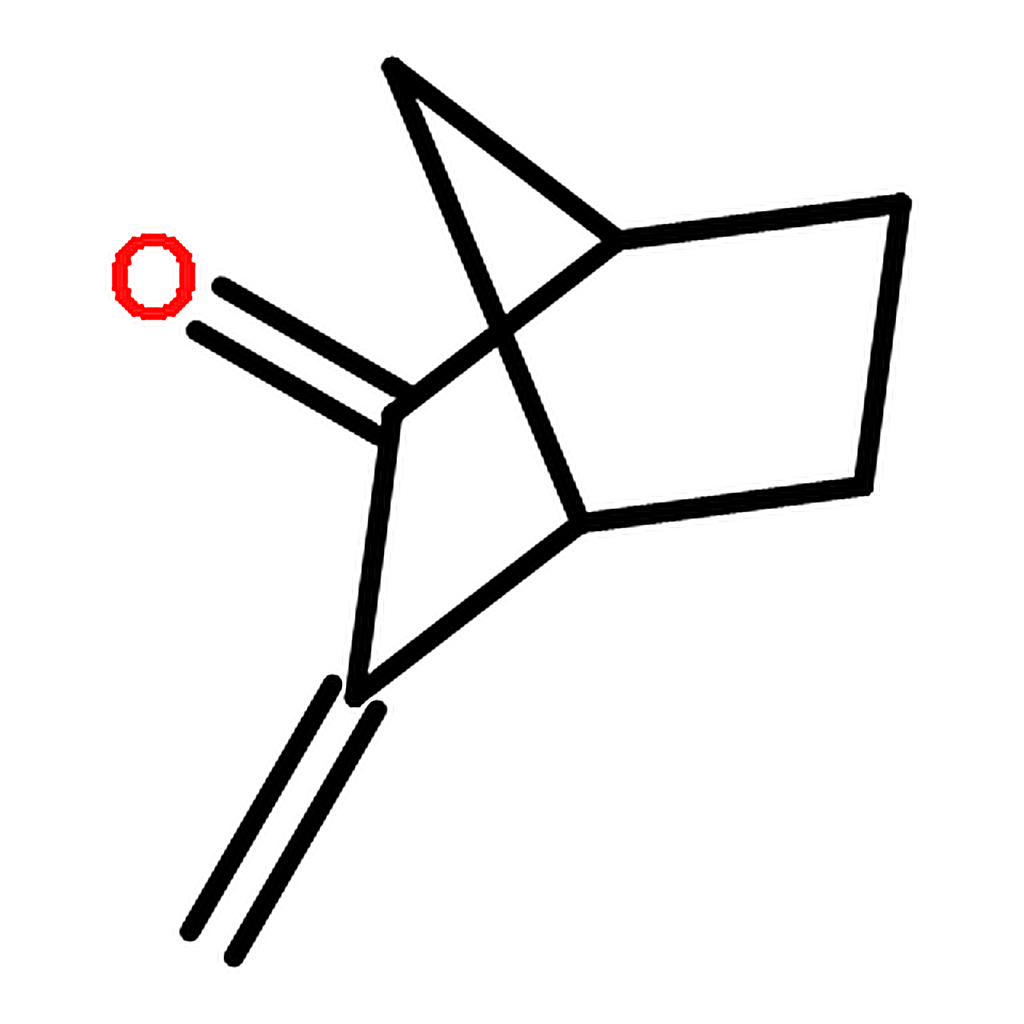 RHAWN 3-Methylene-2-norbornanone
