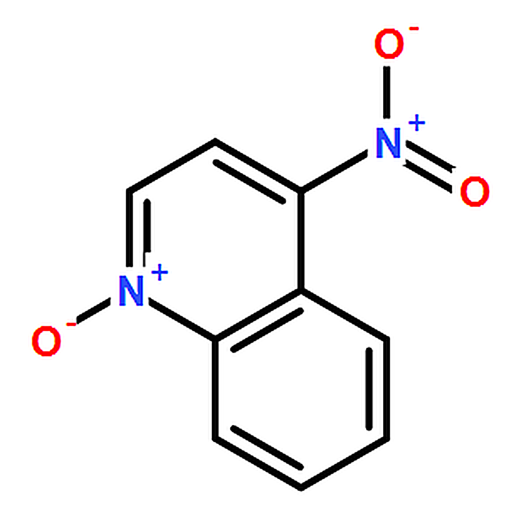 RHAWN 4-Nitroquinoline N-oxide