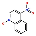 RHAWN 4-Nitroquinoline N-oxide