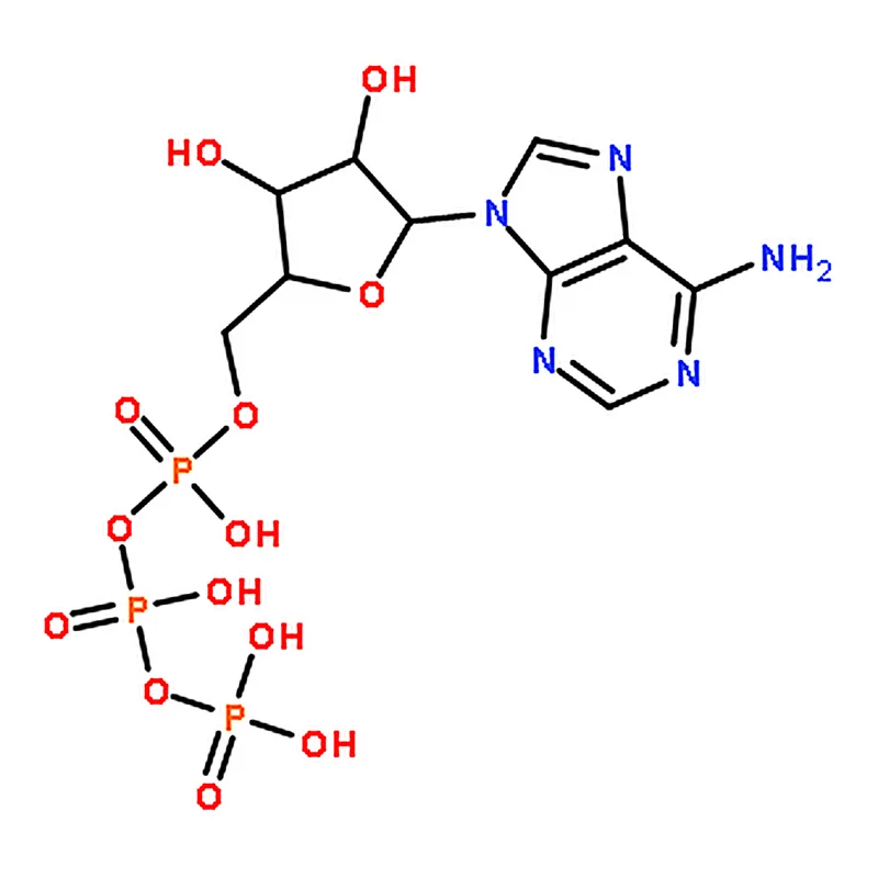 RHAWN Adenosine triphosphate?