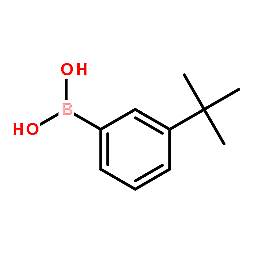 RHAWN 3-tert-Butylphenylboronic acid