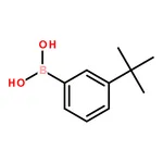 RHAWN 3-tert-Butylphenylboronic acid