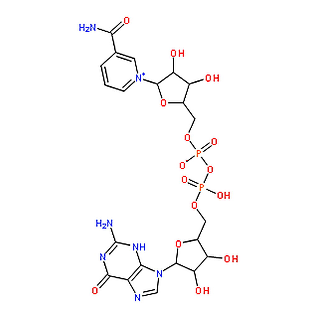 RHAWN Nicotinamide guanine dinucleotide sodium salt