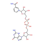 RHAWN Nicotinamide guanine dinucleotide sodium salt