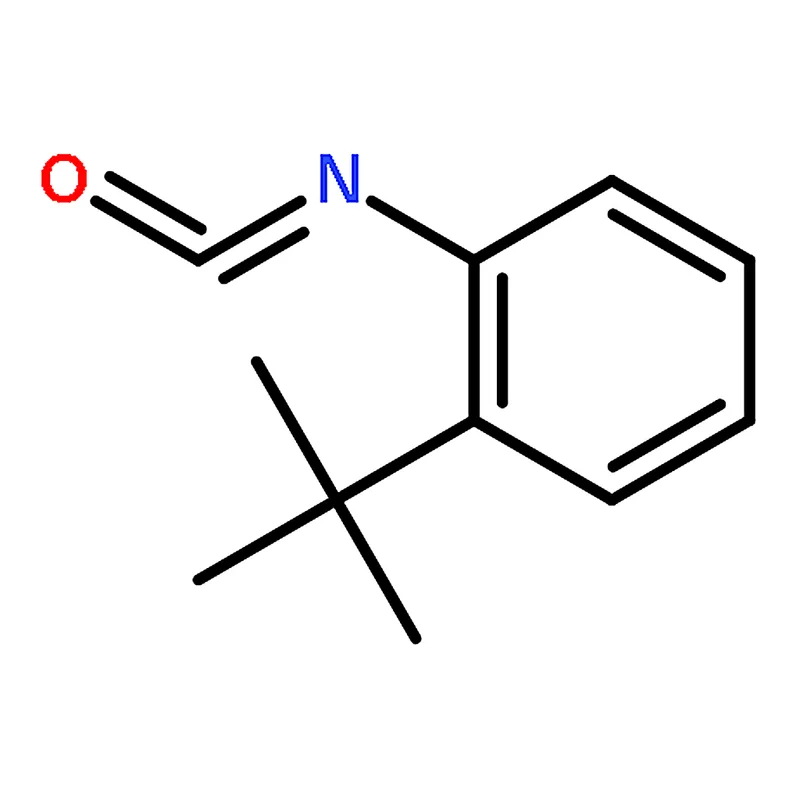 RHAWN 2-(tert-Butyl)phenylisocyanate