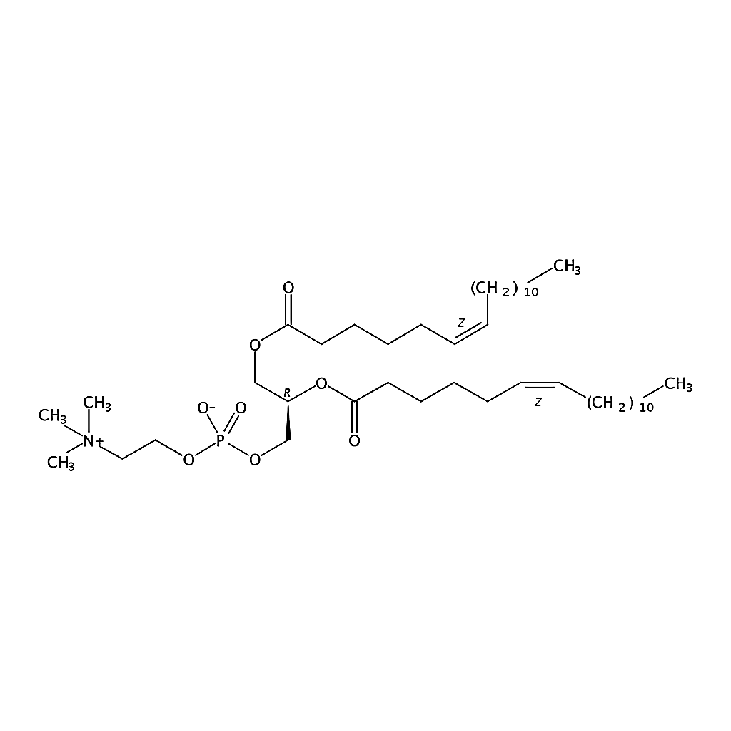 RHAWN 1,2-dipetroselenoyl-sn-glycero-3-phosphocholine