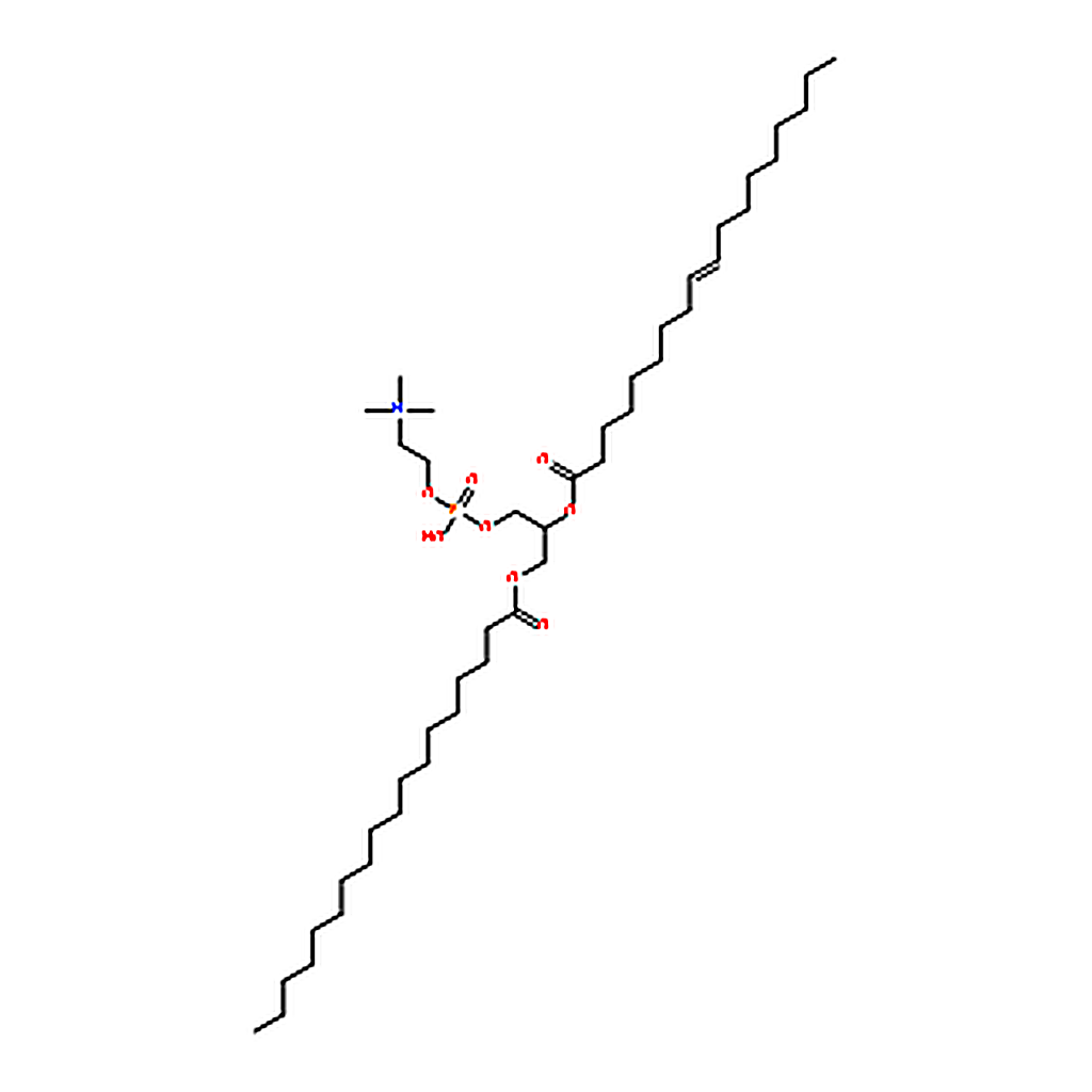 RHAWN 1-stearoyl-2-oleoyl-sn-glycero-3-phosphocholine