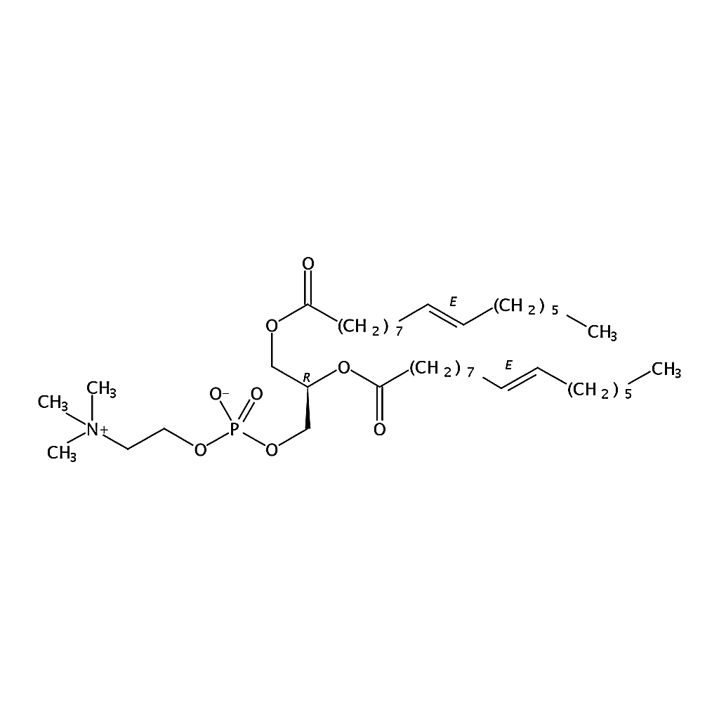 RHAWN 1,2-dipalmitelaidoyl-sn-glycero-3-phosphocholine