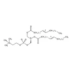 RHAWN 1,2-dipalmitelaidoyl-sn-glycero-3-phosphocholine