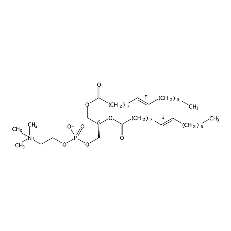RHAWN 1,2-dipalmitelaidoyl-sn-glycero-3-phosphocholine