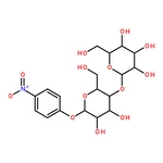 RHAWN 4-Nitrophenyl -D-maltopyranoside