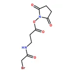 RHAWN 2,5-Dioxopyrrolidin-1-yl 3-(2-bromoacetamido)propanoate
