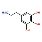 RHAWN 5-Hydroxydopamine hydrochloride