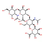 RHAWN Hyaluronate Tetrasaccharide