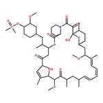 RHAWN Ridaforolimus (Deforolimus, MK-8669)
